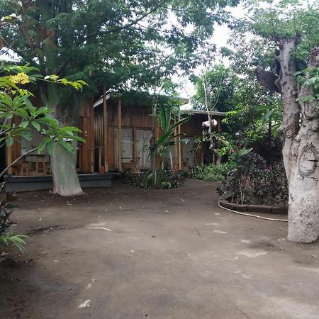 Beach Box Bungalow Gili Trawangan Eksteriør billede