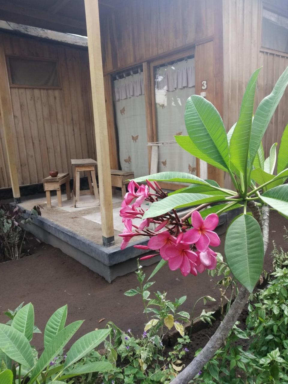 Beach Box Bungalow Gili Trawangan Eksteriør billede