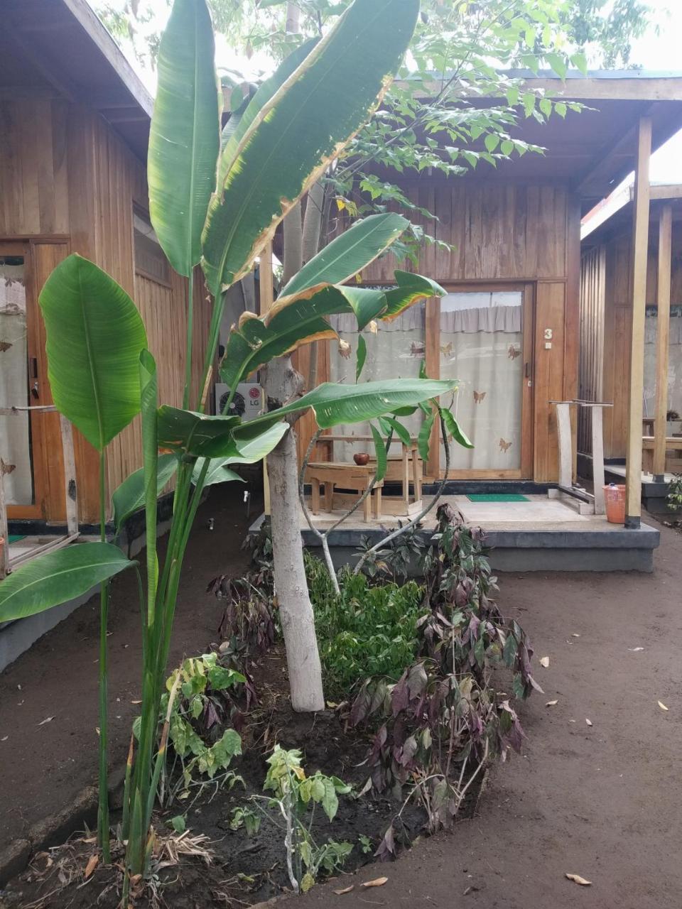 Beach Box Bungalow Gili Trawangan Eksteriør billede